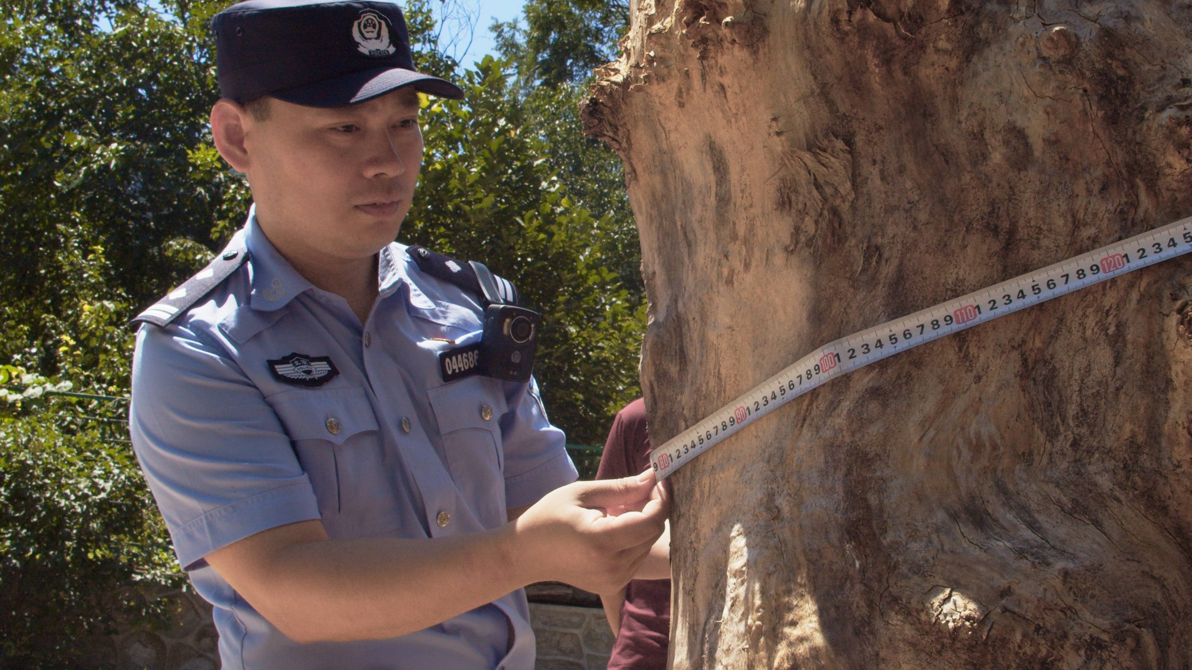 森林警察韩孟祺：乔装成驴友潜伏密林中<strong></p>
<p>usdt地址</strong>，抓获“粘鸟”嫌疑人
