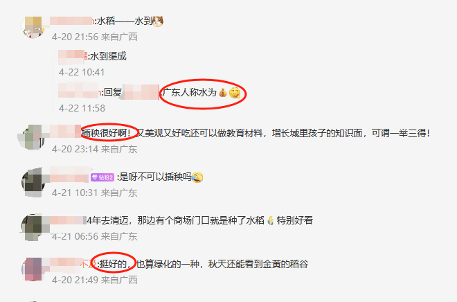 谁种的？东莞闹市区绿化带惊现水稻<strong></p>
<p>usdt地址</strong>，网友化身福尔摩斯来探案，家居广场：商户提的建议