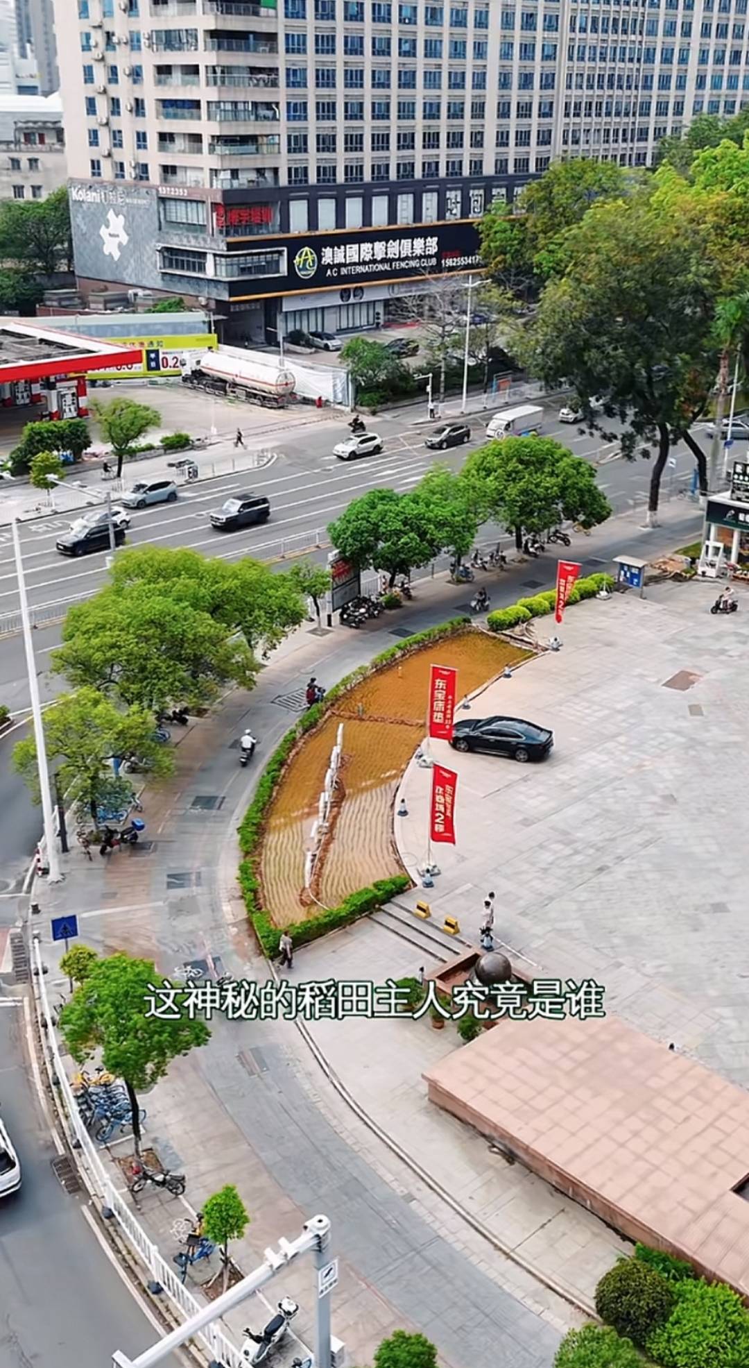 谁种的？东莞闹市区绿化带惊现水稻<strong></p>
<p>usdt地址</strong>，网友化身福尔摩斯来探案，家居广场：商户提的建议