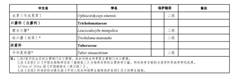 价值18万余元！男子在祁连山非法收购5632根冬虫夏草<strong></p>
<p>usdt官网</strong>，构成危害国家重点保护植物罪获刑