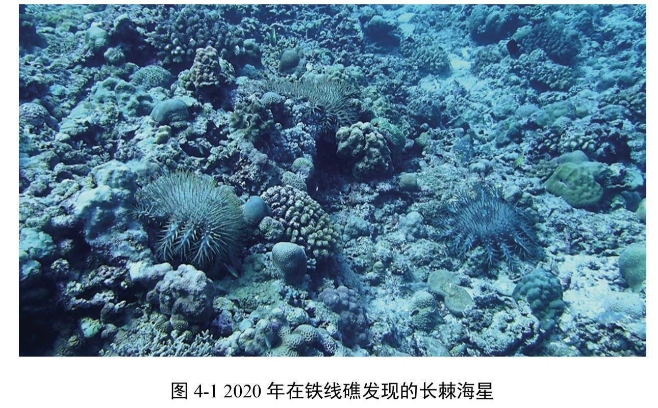 <strong></p>
<p>usdt官网</strong>我国首次发布铁线礁、牛轭礁珊瑚礁“体检”报告 菲炮制言论毫无科学和事实依据
