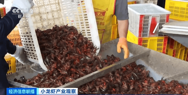 价格暴跌近50%<strong></p>
<p>usdt如何交易</strong>！“接下来还会降”！青岛正大量上市……