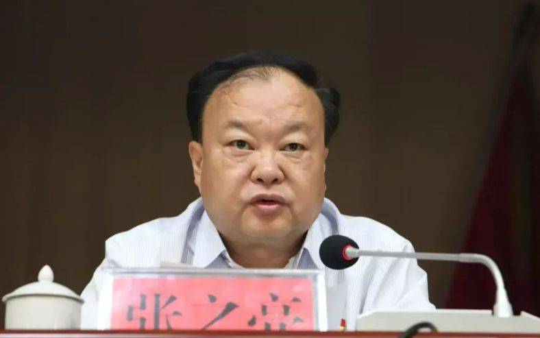 中央提级巡视期间<strong></p>
<p>USDT手机钱包</strong>，已降级、退休的张之亮，官宣落马！