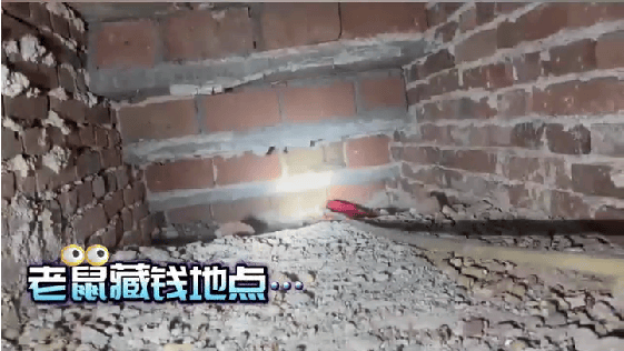 老人用红袜子包裹一万元现金藏在门框上<strong></p>
<p>usdt什么价格</strong>，一天后不翼而飞，警方破案：偷钱的是老鼠