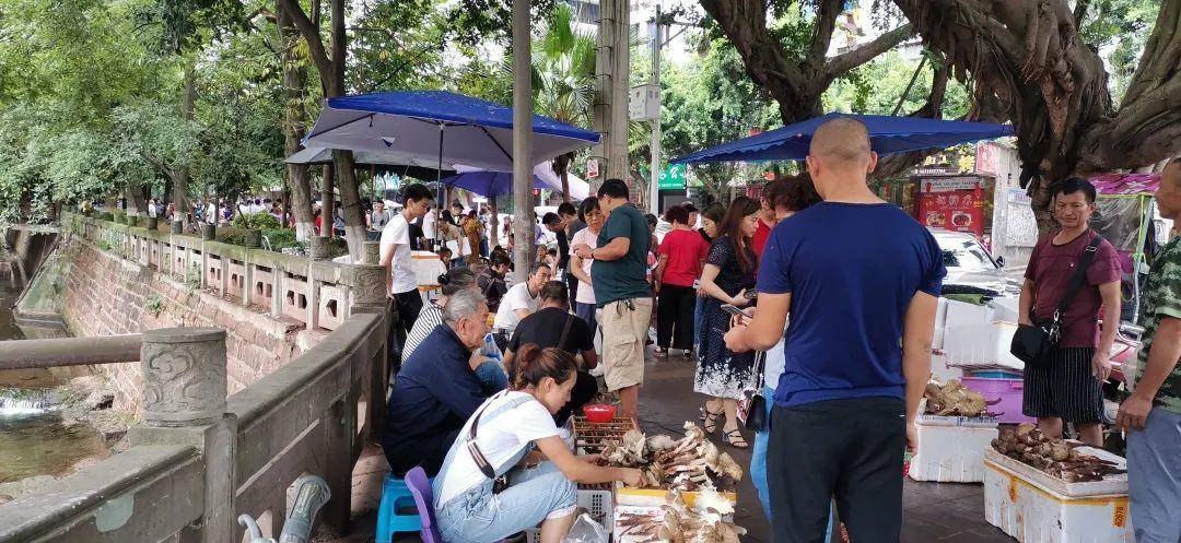 “天价”鸡枞调查：最贵卖到1800元/公斤！雨水少致产量低<strong></p>
<p>usdt支付通道</strong>，多地价高客少