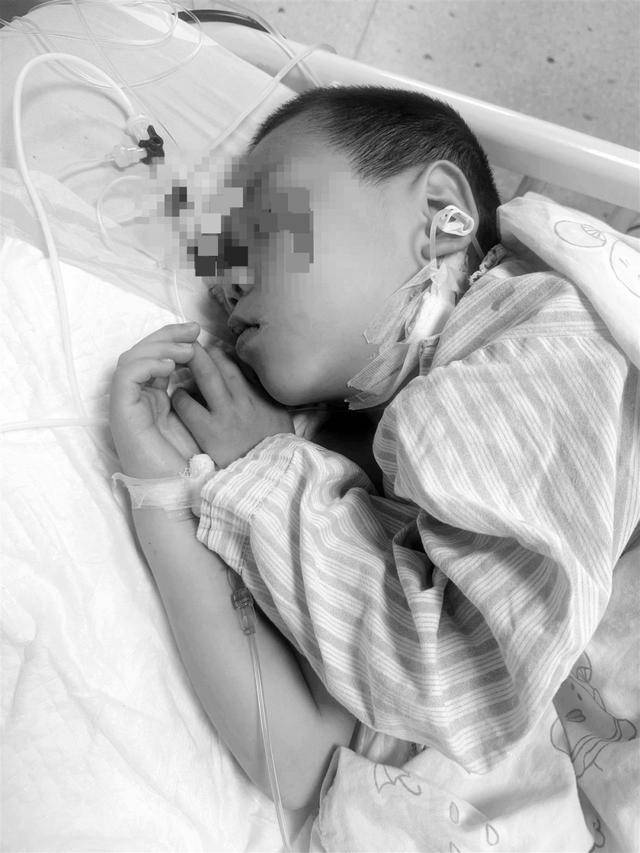 湖南一家6口误食毒蘑菇<strong></p>
<p>usdt货币</strong>，5岁男童不幸去世