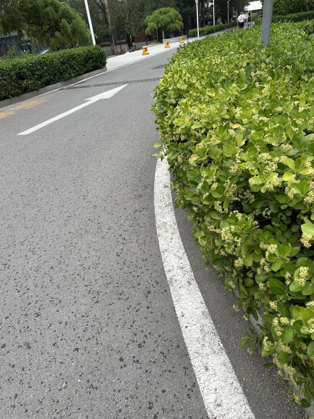 下雨了<strong></p>
<p>usdt交易中心</strong>！天津接下来十天都是……