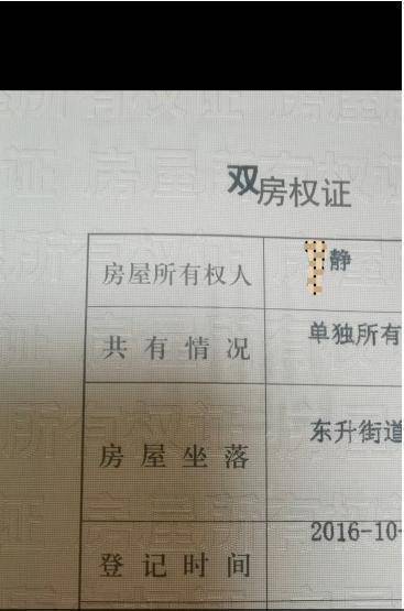 四川一女子举报前公婆资产近1亿涉嫌贪腐<strong></p>
<p>usdt交易中心</strong>，称举报一年无进展