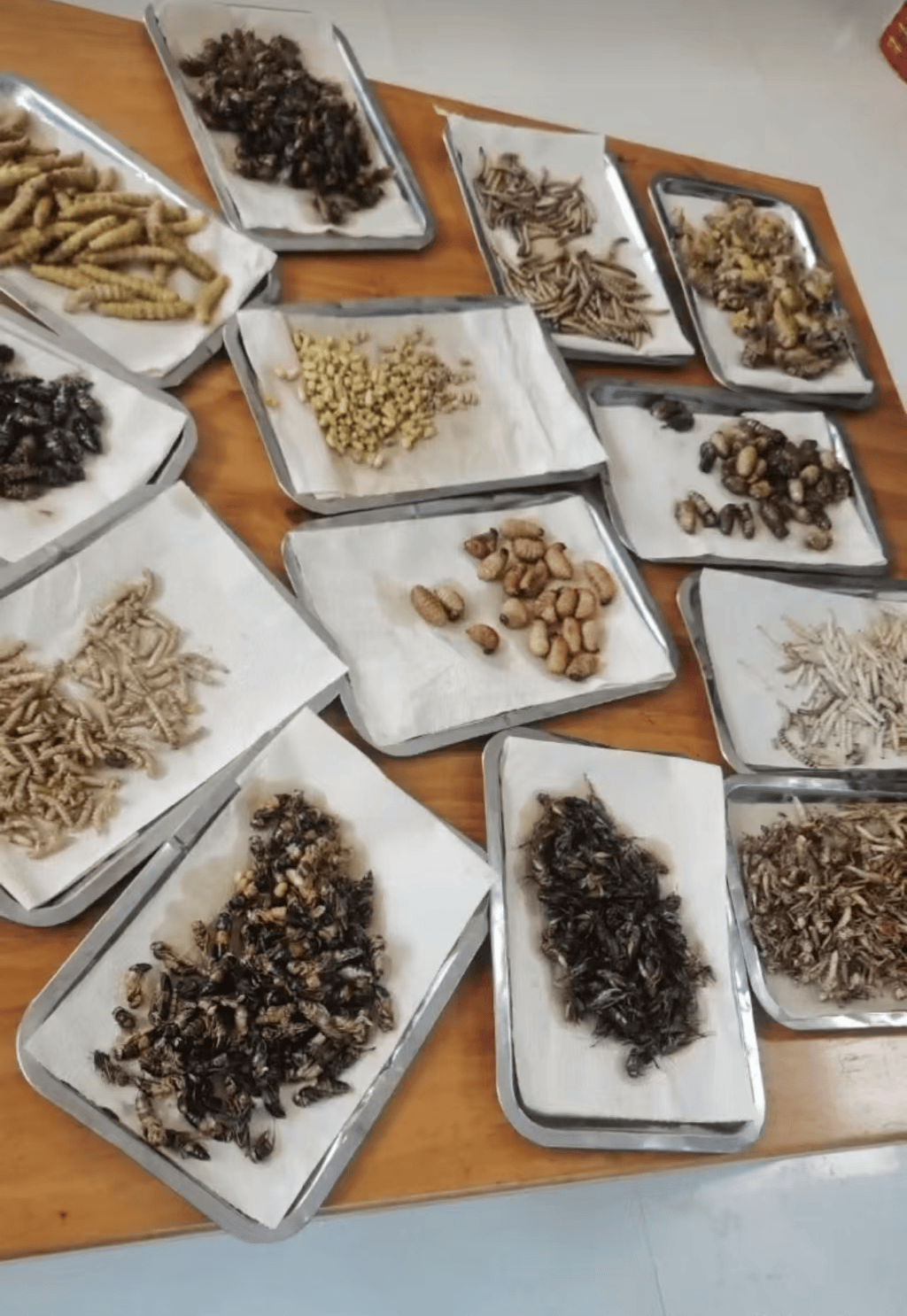 山东临沂通报“蛤蟆汤”饭店被拟罚45万：撤销处罚<strong></p>
<p>以太坊价格</strong>，5人停职