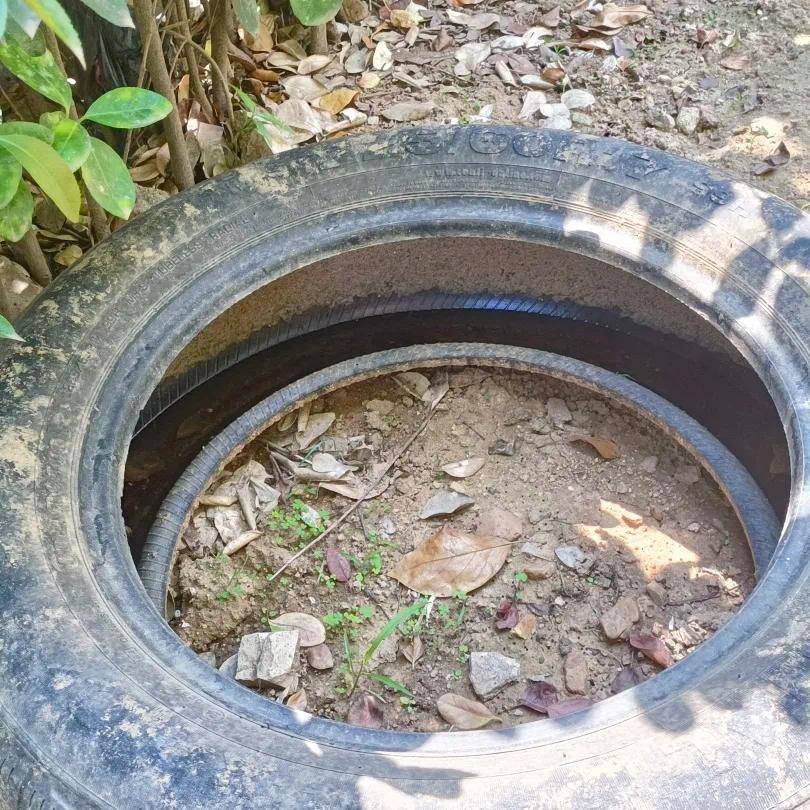 青岛疾控最新提醒：全民行动<strong></p>
<p>以太坊区块浏览器</strong>！翻盆倒罐、清除积水！