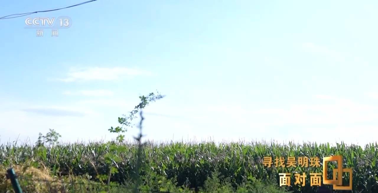 面对面丨中国人的吃瓜自由要感谢她<strong></p>
<p>以太坊交易</strong>！吴明珠说她的一生就是结几个好瓜献给人民