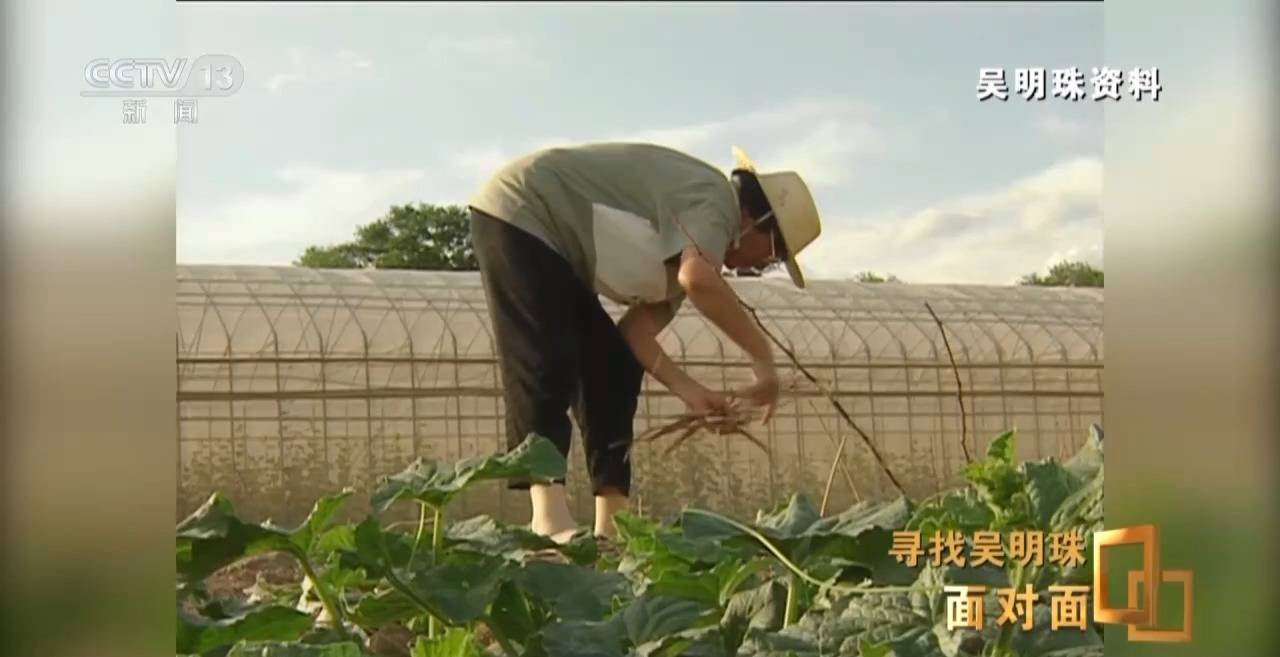 面对面丨中国人的吃瓜自由要感谢她<strong></p>
<p>以太坊交易</strong>！吴明珠说她的一生就是结几个好瓜献给人民