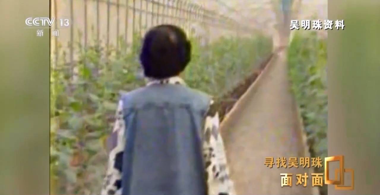 面对面丨中国人的吃瓜自由要感谢她<strong></p>
<p>以太坊交易</strong>！吴明珠说她的一生就是结几个好瓜献给人民
