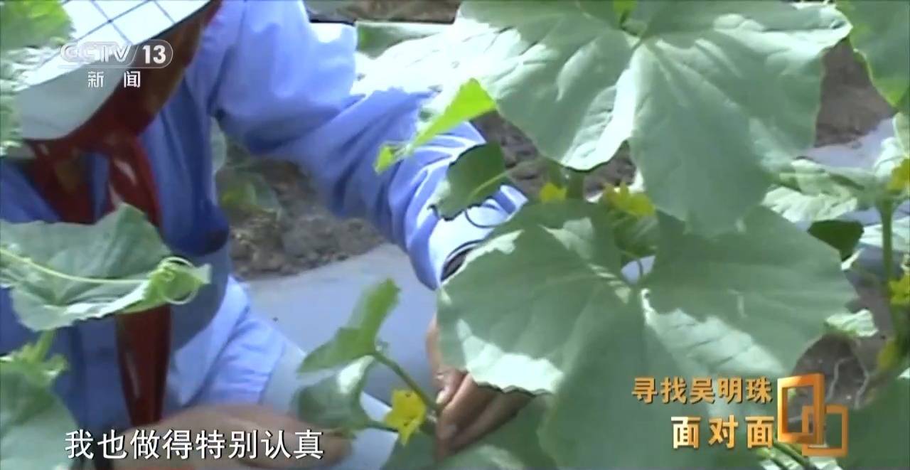 面对面丨中国人的吃瓜自由要感谢她<strong></p>
<p>以太坊交易</strong>！吴明珠说她的一生就是结几个好瓜献给人民