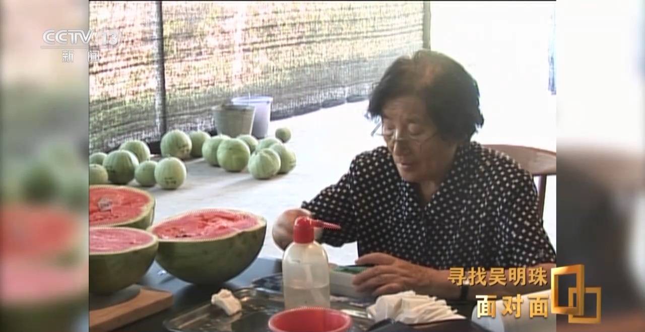 面对面丨中国人的吃瓜自由要感谢她<strong></p>
<p>以太坊交易</strong>！吴明珠说她的一生就是结几个好瓜献给人民
