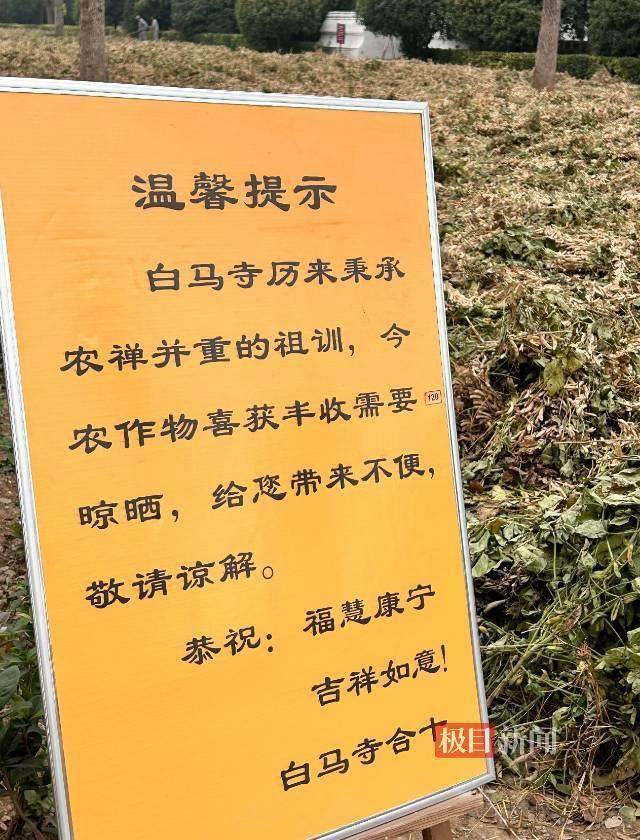 印乐方丈管理下的白马寺：僧人顶着高温种地<strong></p>
<p>以太坊交易</strong>，义工称寺里秉承农禅并重