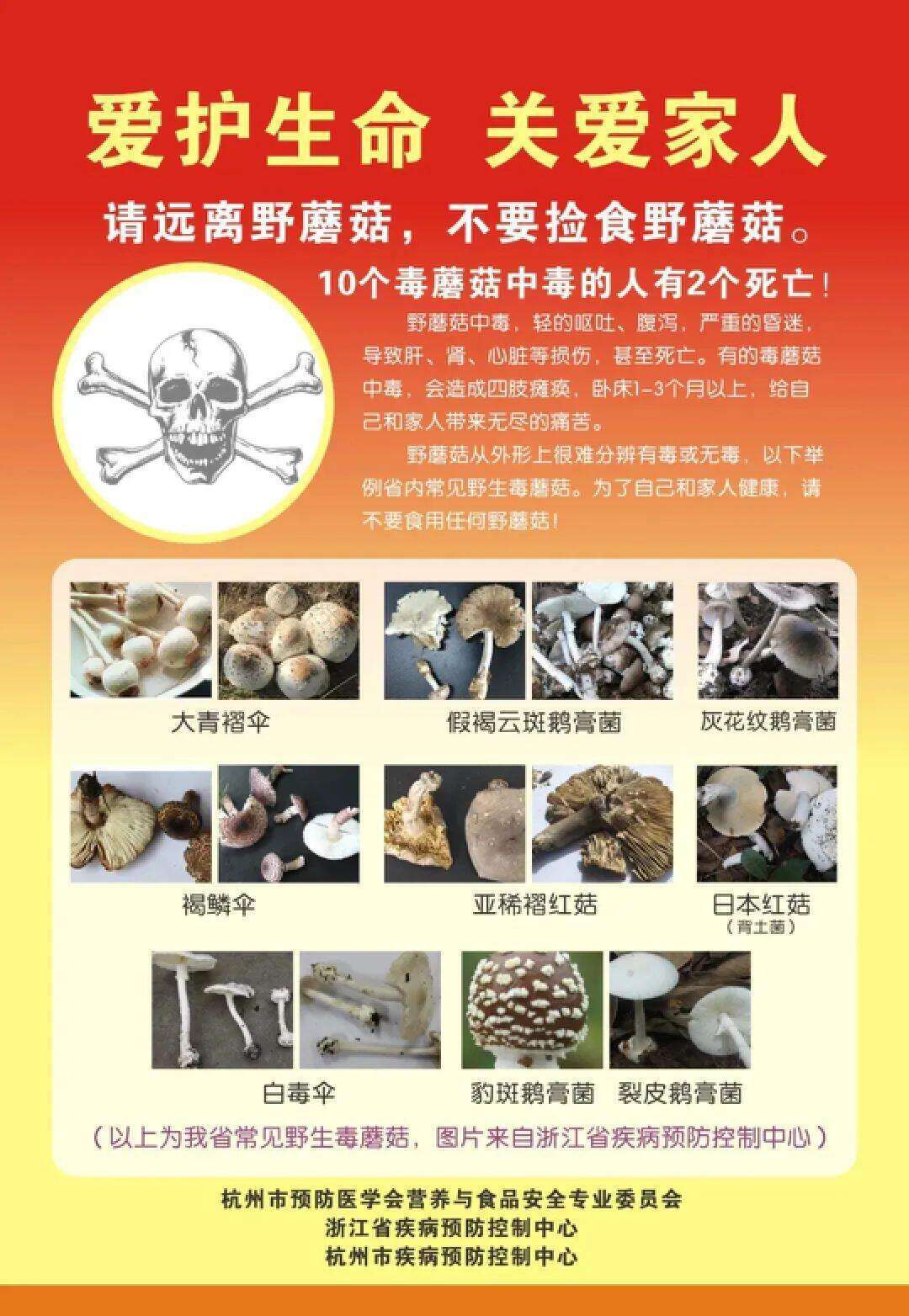 云南姑娘今年在杭州采了200斤鸡枞菌<strong></p>
<p>以太坊挖矿</strong>！专家提醒→