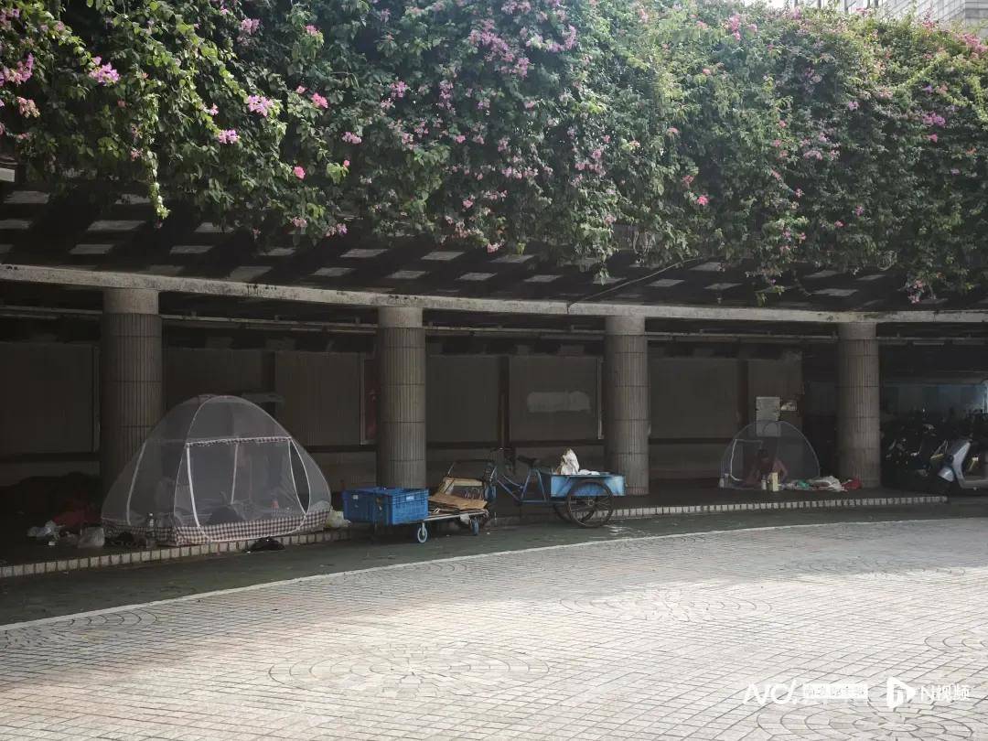 全民灭蚊总动员<strong></p>
<p>以太坊挖矿</strong>，大广东给我们上了一课