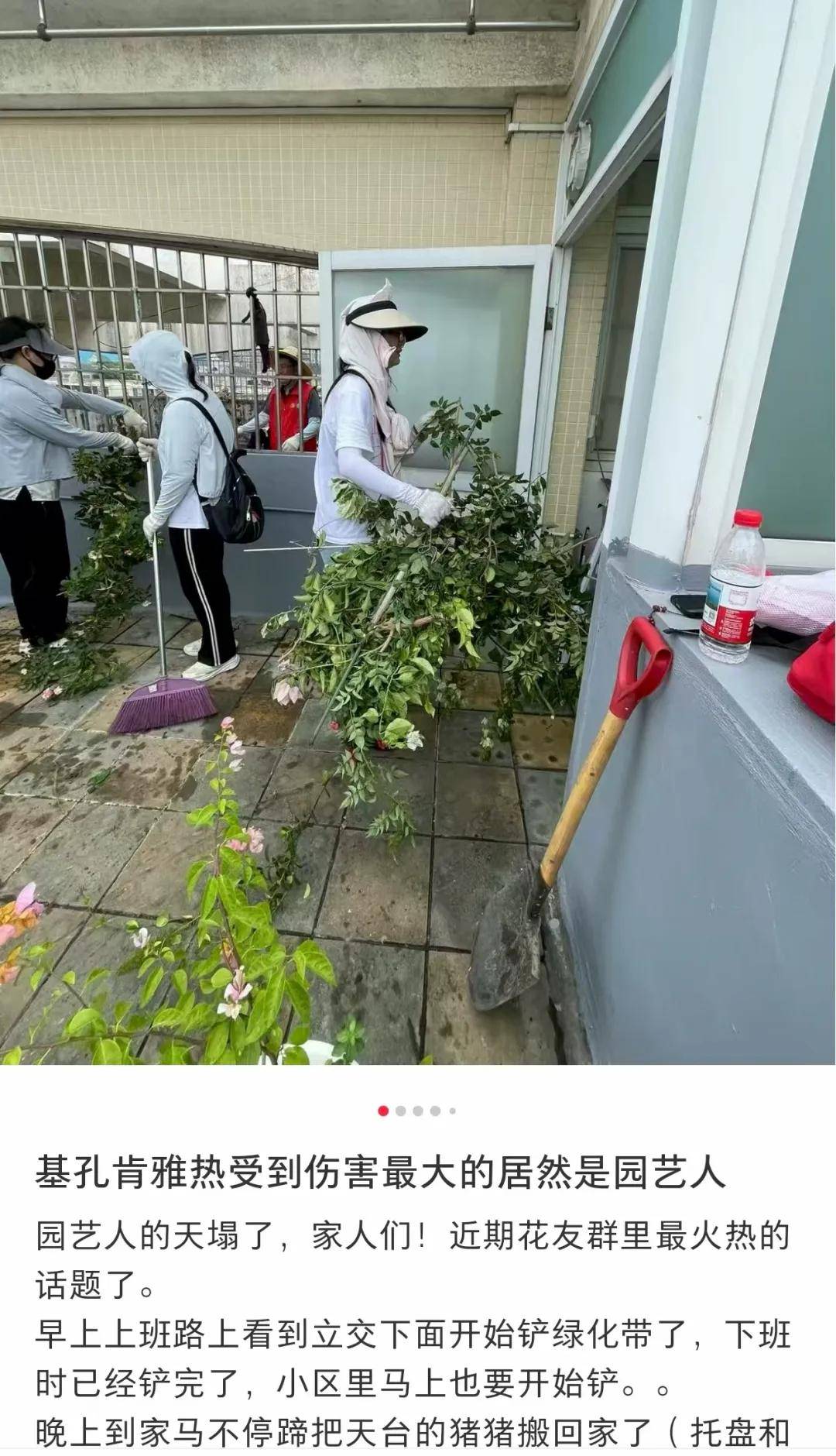 全民灭蚊总动员<strong></p>
<p>以太坊挖矿</strong>，大广东给我们上了一课
