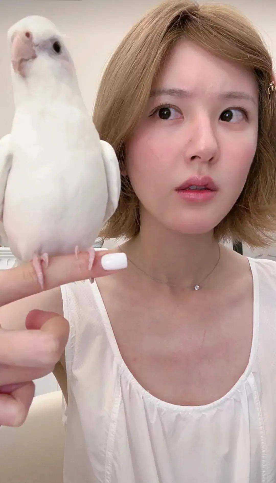 怒撕经纪公司后赵露思开启直播<strong></p>
<p>以太坊矿机</strong>，同款花卷、包包都卖爆