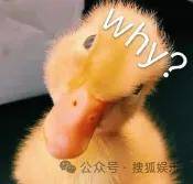 从爆红到突然消失好几年<strong></p>
<p>以太坊区块</strong>，再出现已经胖到大家不敢认了？