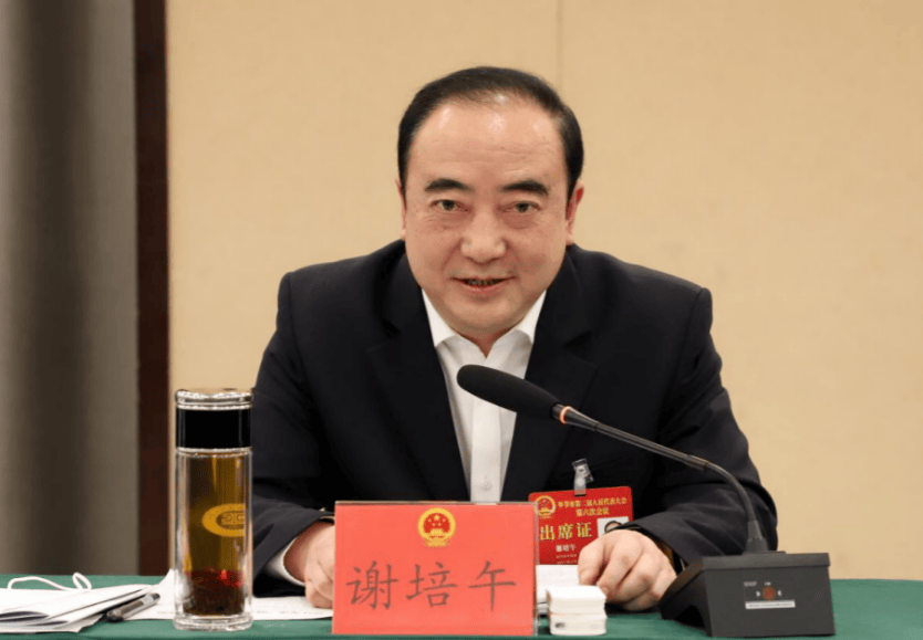 中央巡视期间<strong></p>
<p>以太坊代币</strong>，谢培午被查