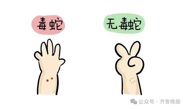 安徽宣城一男子走路玩手机<strong></p>
<p>区块链以太坊</strong>，一脚踩中打架的竹叶青和五步蛇，被俩毒蛇咬3口！医院：暂无生命危险，正在治疗