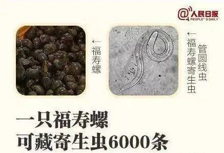 别吃！寄生虫多达6000条！浙江一地大量出现<strong></p>
<p>以太坊区块链</strong>，看到立刻上报