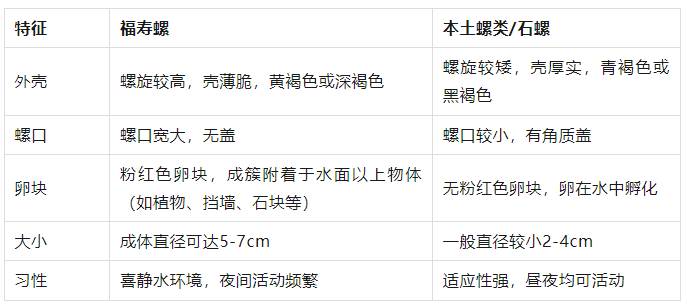 别吃！寄生虫多达6000条！浙江一地大量出现<strong></p>
<p>以太坊区块链</strong>，看到立刻上报