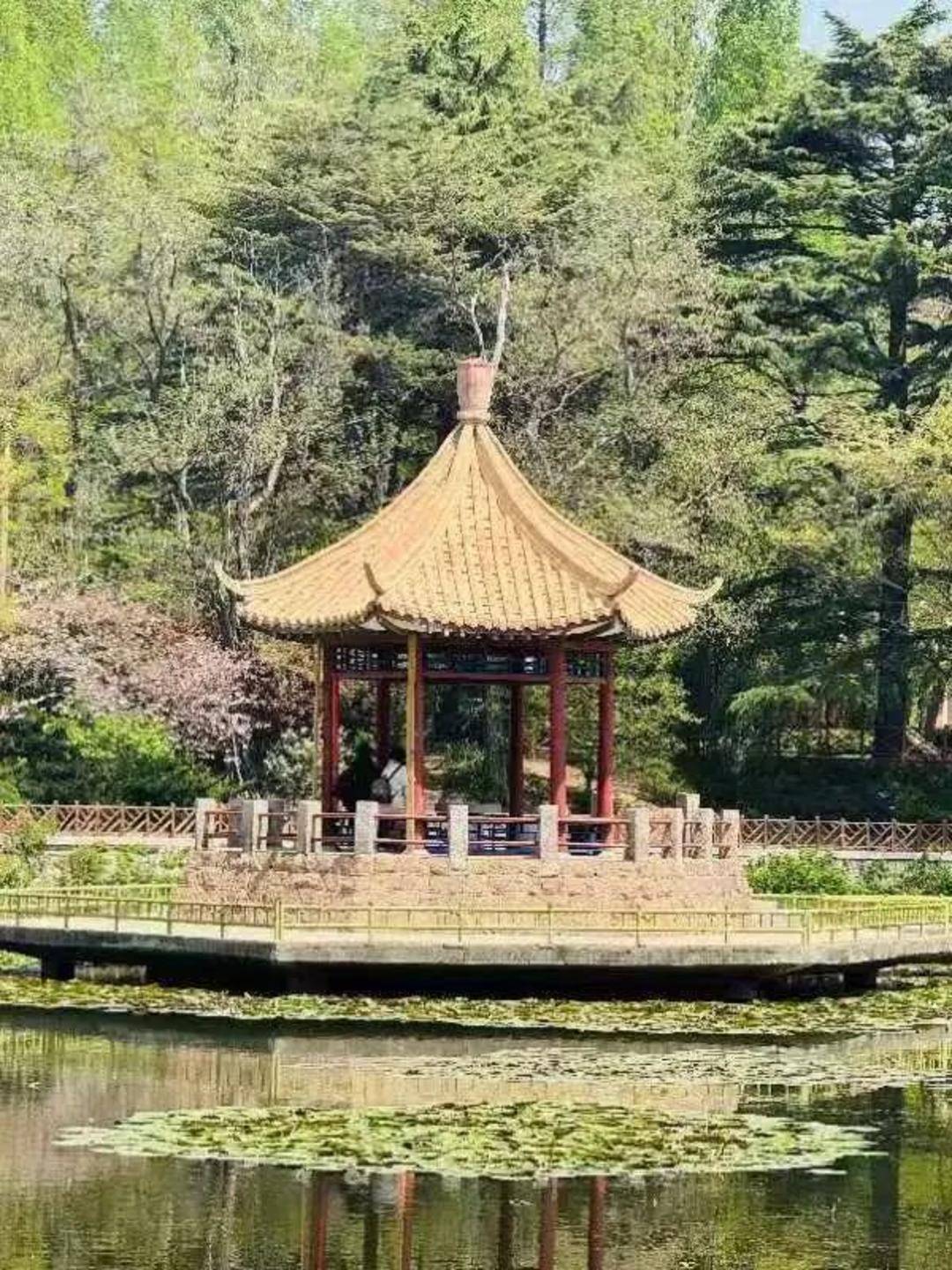 青岛中山公园一凉亭突然倒塌：一年前刚完成修缮<strong></p>
<p>以太坊智能合约</strong>，园方称无伤亡原因待查