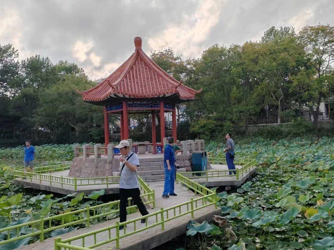 青岛中山公园一凉亭突然倒塌：一年前刚完成修缮<strong></p>
<p>以太坊智能合约</strong>，园方称无伤亡原因待查