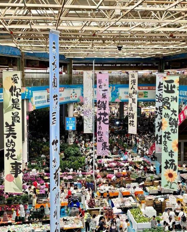 七夕不送玫瑰改送花菜<strong></p>
<p>以太坊查询</strong>！这一届年轻人“反套路”重新定义浪漫