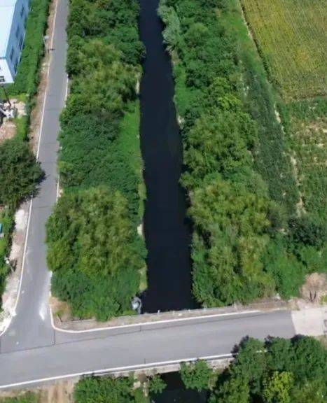 去年整改过的“黑水河”<strong></p>
<p>以太坊查询</strong>，今年怎么又黑了？ | 新京报快评