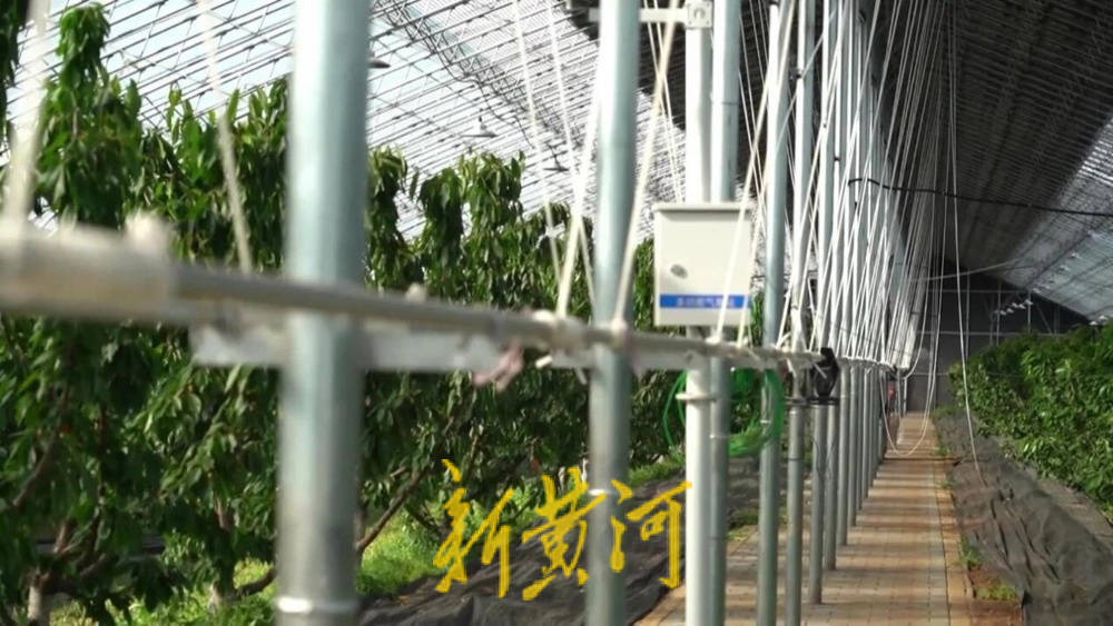 潍坊临朐：30.77 亿元<strong></p>
<p>以太坊分叉</strong>！“红玛瑙”大樱桃何以成乡村振兴“甜蜜引擎”