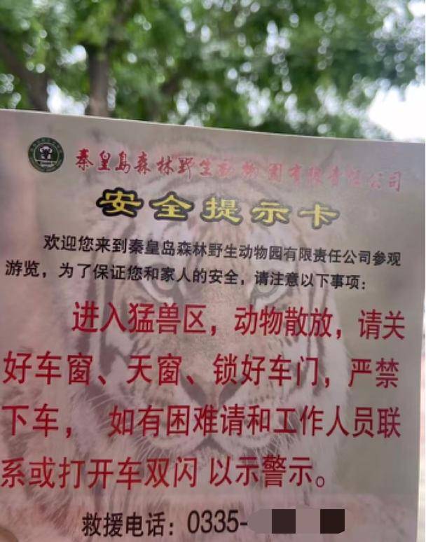 惊险！野生动物园内<strong></p>
<p>以太坊分叉</strong>，两车剐蹭，车主下车沟通老虎一旁围观