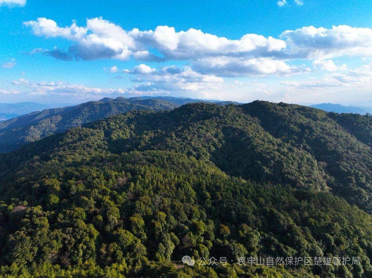 云南哀牢山新规出台：禁止任何单位和个人擅入哀牢山自然保护区<strong></p>
<p>eth以太坊</strong>，从事科研活动须报批