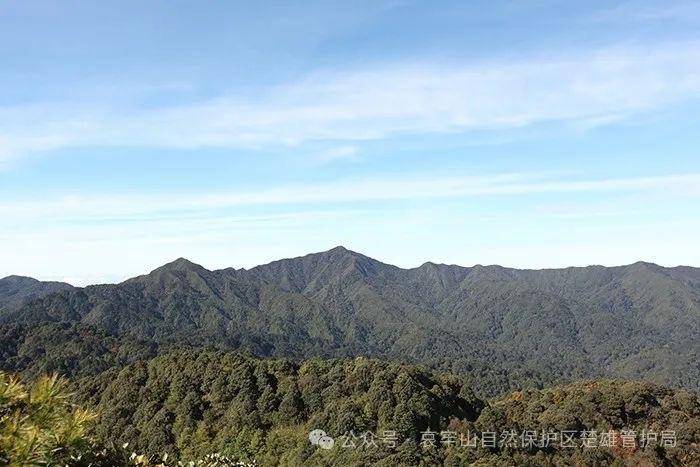 云南哀牢山新规出台：禁止任何单位和个人擅入哀牢山自然保护区<strong></p>
<p>eth以太坊</strong>，从事科研活动须报批