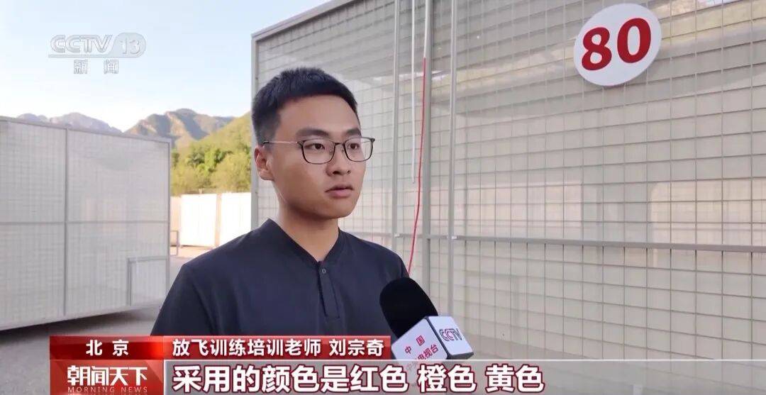 明天将放飞8万羽和平鸽、8万只气球<strong></p>
<p>eth以太坊</strong>，揭秘！