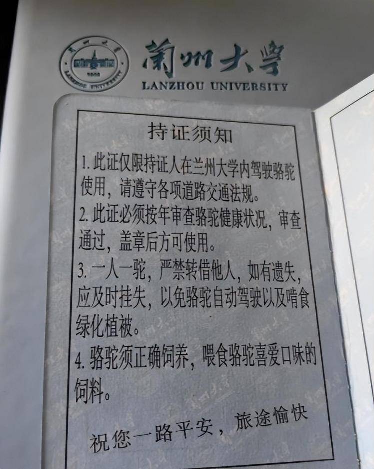 一人一驼<strong></p>
<p>eth以太坊</strong>，骆驼尾气排放超标要扣分？兰大回应学生持证骑骆驼上学：骆驼驾驶证为学校文创，非官方证件