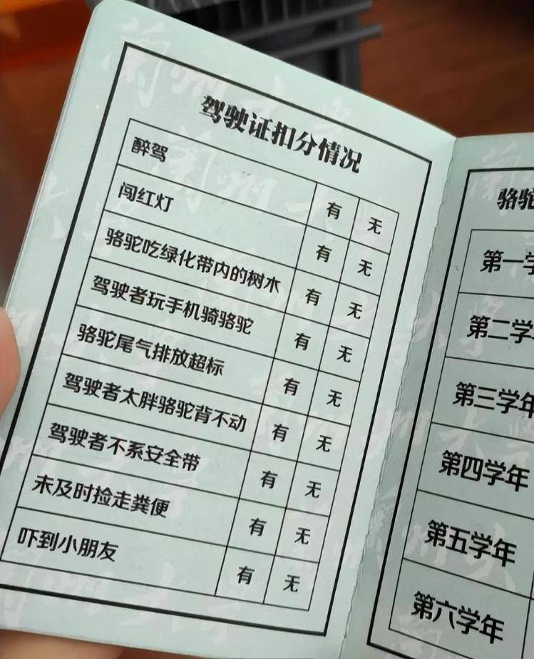 一人一驼<strong></p>
<p>eth以太坊</strong>，骆驼尾气排放超标要扣分？兰大回应学生持证骑骆驼上学：骆驼驾驶证为学校文创，非官方证件