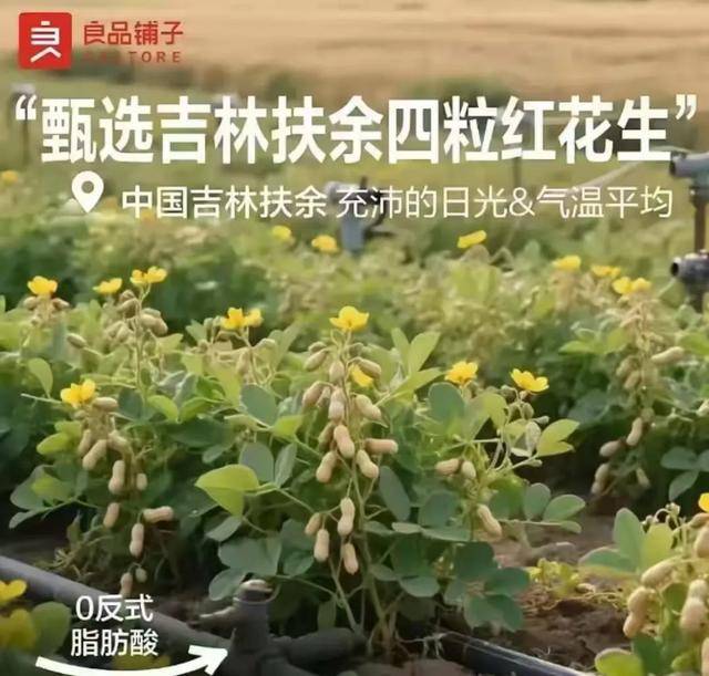 “花生上树”闹剧：AI翻车背后<strong></p>
<p>以太坊平台</strong>，我们都在弄丢常识？