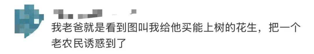 “花生上树”闹剧：AI翻车背后<strong></p>
<p>以太坊平台</strong>，我们都在弄丢常识？