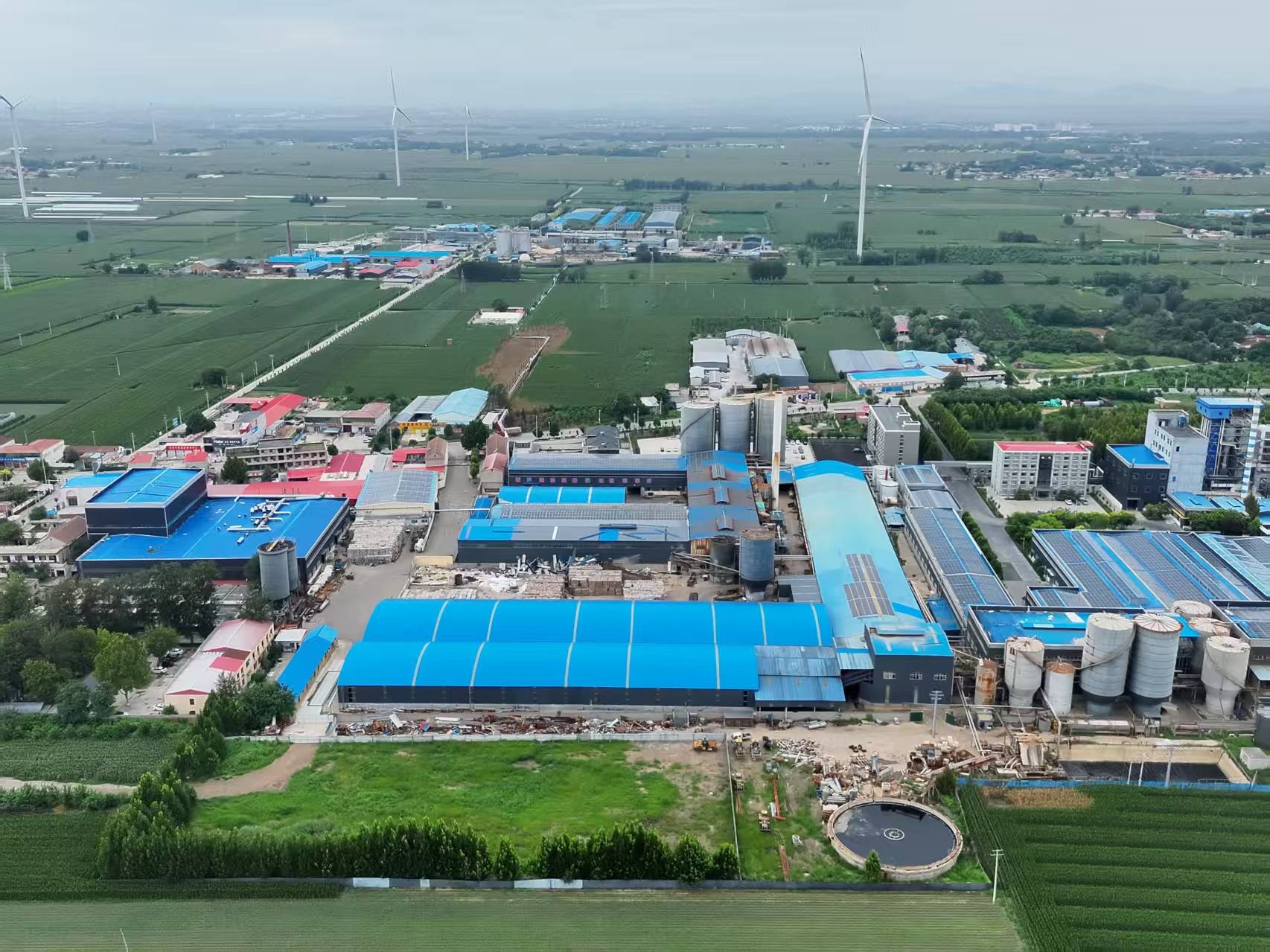 河北柏乡:造纸厂污水外排大片农作物致死引关注！