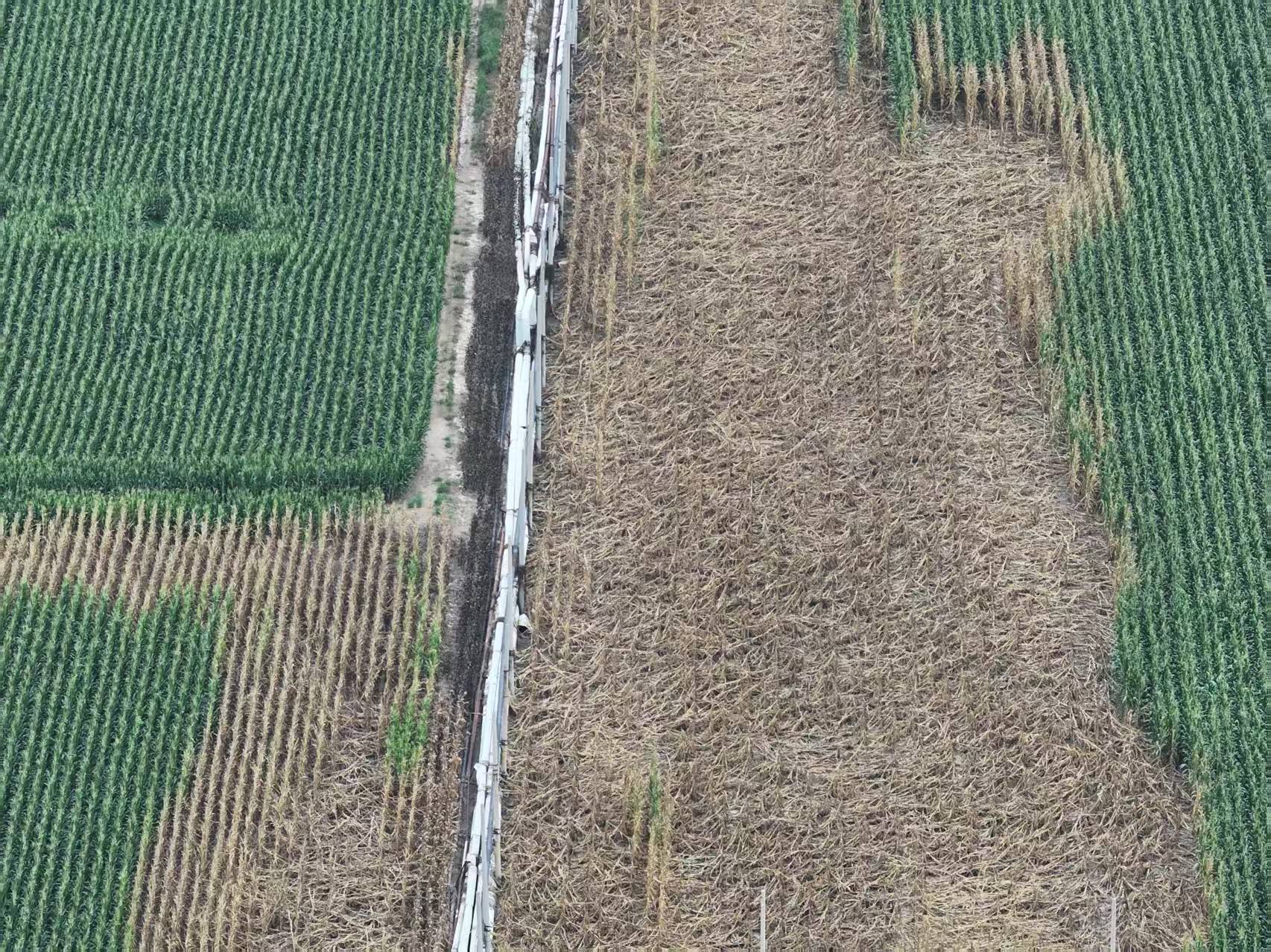 河北柏乡:造纸厂污水外排大片农作物致死引关注<strong></p>
<p>以太坊账户</strong>！