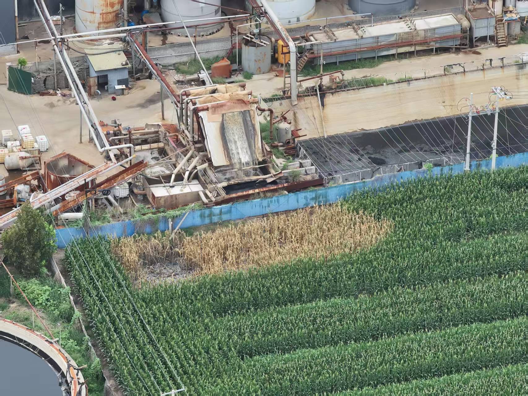 河北柏乡:造纸厂污水外排大片农作物致死引关注<strong></p>
<p>以太坊账户</strong>！