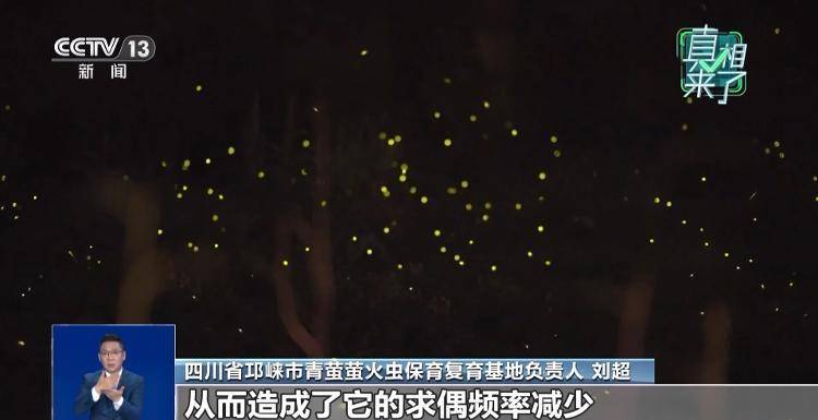 网传萤火虫濒临灭绝<strong></p>
<p>以太坊官网</strong>，是真的吗？