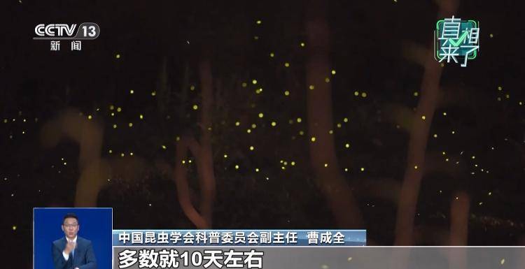网传萤火虫濒临灭绝<strong></p>
<p>以太坊官网</strong>，是真的吗？