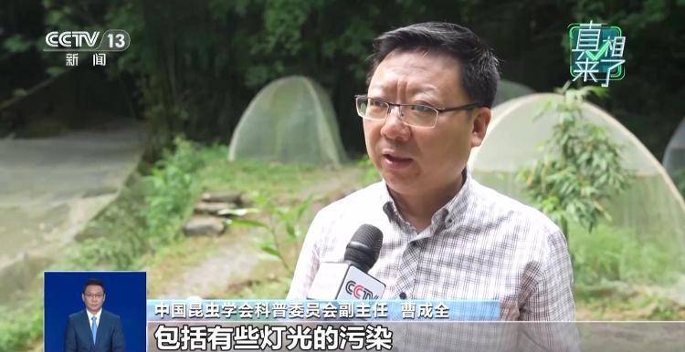 网传萤火虫濒临灭绝<strong></p>
<p>以太坊官网</strong>，是真的吗？