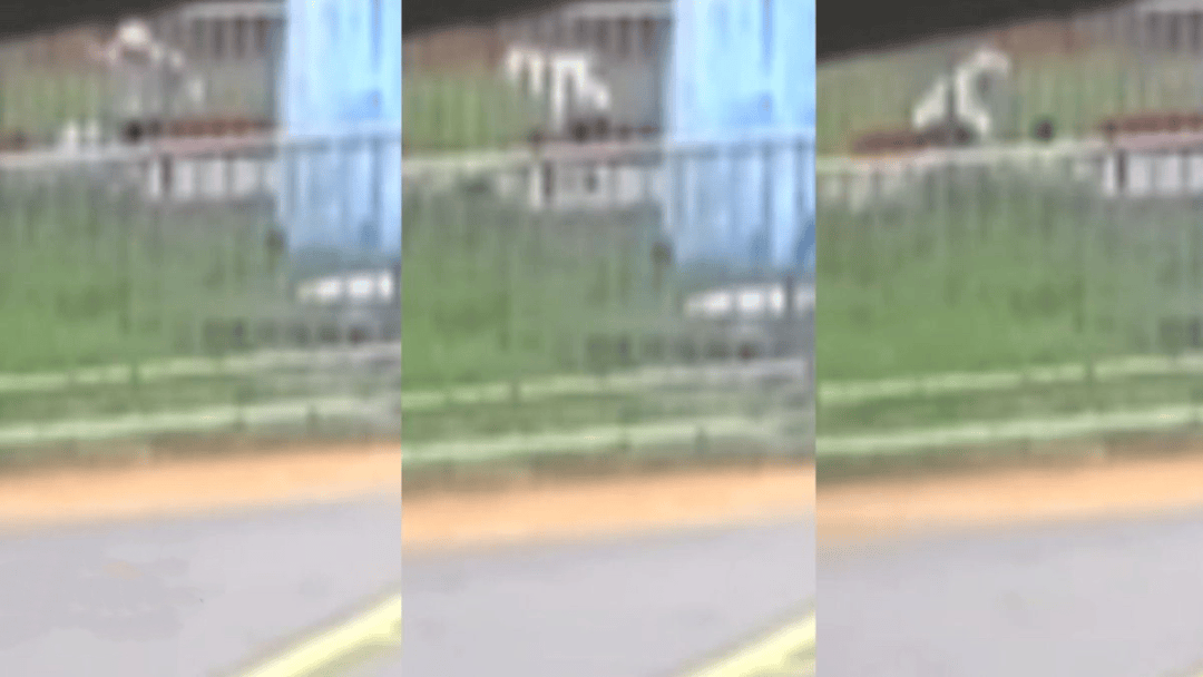 “44秒31刀”<strong></p>
<p>以太坊矿池</strong>，台湾残忍情杀案曝光：多次寻求复合被拒，17岁少年网购长刀当众杀害21岁前女友，已被逮捕