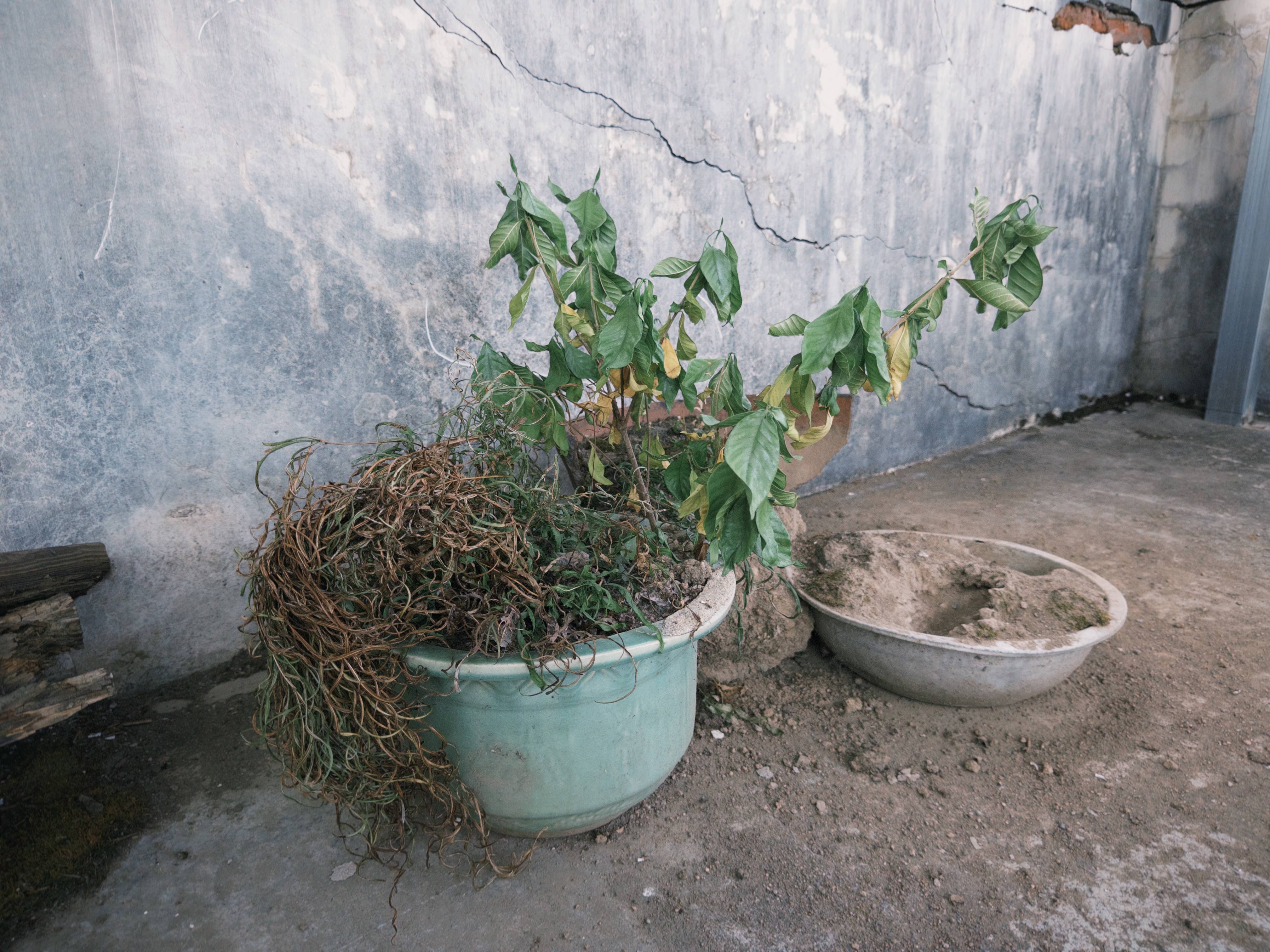 七旬母亲卖掉儿子3万斤藏书 称读书害了<strong></p>
<p>以太坊走势</strong>他